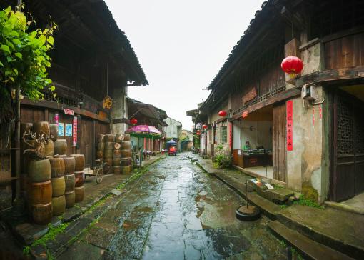 强大的狮子拼图